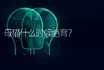 母猫什么时候绝育？