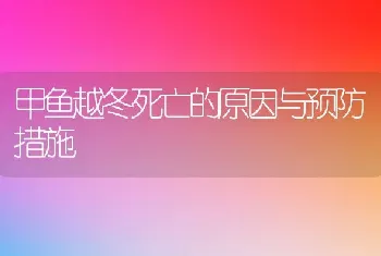 甲鱼越冬死亡的原因与预防措施