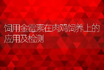 饲用金霉素在肉鸡饲养上的应用及检测