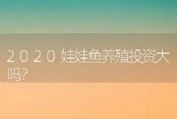 2020娃娃鱼养殖投资大吗？