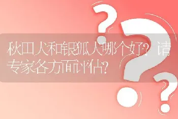 秋田犬和银狐犬哪个好?请专家各方面评估？