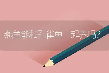 燕鱼能和孔雀鱼一起养吗？