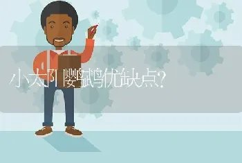 小太阳鹦鹉优缺点？