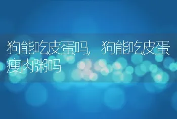 狗能吃皮蛋吗，狗能吃皮蛋瘦肉粥吗