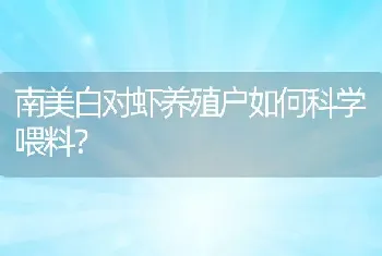 南美白对虾养殖户如何科学喂料？