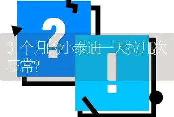 3个月的小泰迪一天拉几次正常？