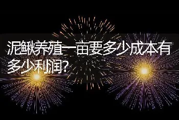 泥鳅养殖一亩要多少成本有多少利润？