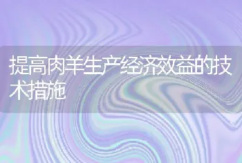 提高肉羊生产经济效益的技术措施