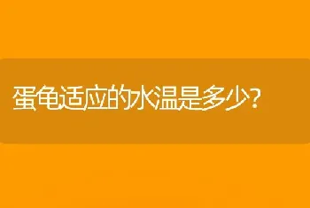 蛋龟适应的水温是多少？