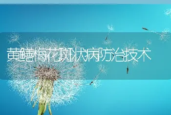 黄鳝梅花斑状病防治技术