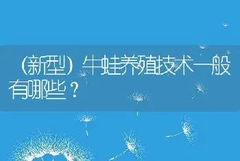 （新型）牛蛙养殖技术一般有哪些？