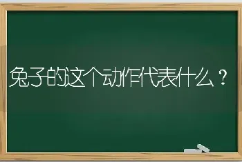 兔子的这个动作代表什么？