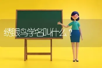 绣眼鸟学名叫什么？