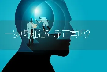 狗狗怀孕多久会吐？