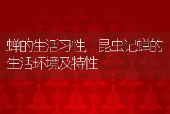 蝉的生活习性，昆虫记蝉的生活环境及特性