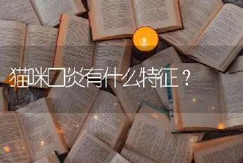 猫咪口炎有什么特征？