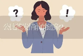 公比熊发情前的迹象？