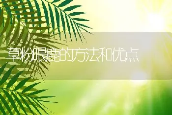 草粉喂鹿的方法和优点