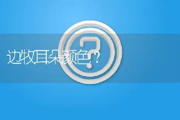 边牧几个月才能认识主人？