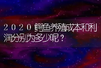 2020鳄鱼养殖成本和利润分别为多少呢？