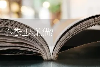 《挪威的森林》是哪位日本作家的著名小说作品？