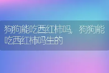 狗狗能吃西红柿吗，狗狗能吃西红柿吗生的