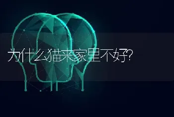 为什么猫来家里不好？