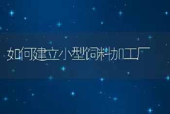 如何建立小型饲料加工厂