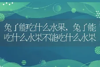 兔子能吃什么水果，兔子能吃什么水果不能吃什么水果