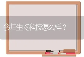 今归生物科技怎么样？