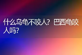 什么乌龟不咬人?巴西龟咬人吗？