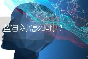 蓝猫脸小怎么回事？