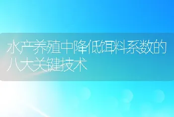 水产养殖中降低饵料系数的八大关键技术