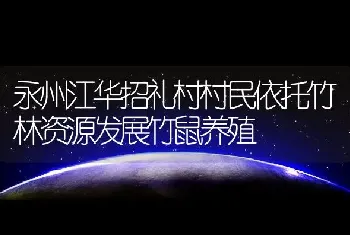 永州江华招礼村村民依托竹林资源发展竹鼠养殖