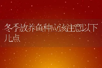 冬季放养鱼种应该注意以下几点