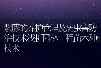 紫藤的养护管理及病虫害防治技术浅析园林工程苗木种植技术