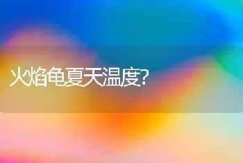 火焰龟夏天温度？