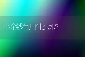 谁知道哈士奇是那个地方的？