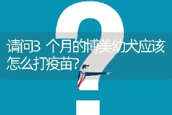 金毛六七月份掉毛正常吗？