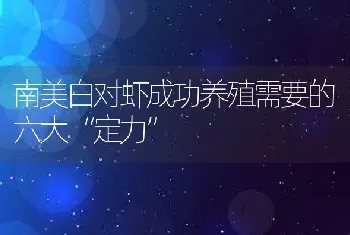 南美白对虾成功养殖需要的六大“定力”