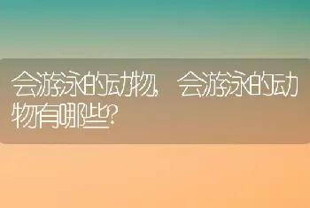 会游泳的动物，会游泳的动物有哪些？