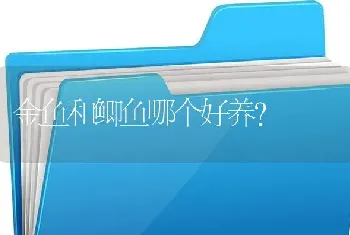 金鱼和鲫鱼哪个好养？