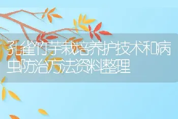 孔雀竹芋栽培养护技术和病虫防治方法资料整理