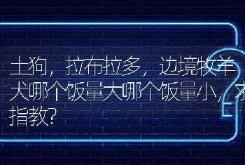 土狗，拉布拉多，边境牧羊犬哪个饭量大哪个饭量小，求指教？