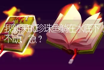 我新买的珍珠鱼躺在水底下不动，急？