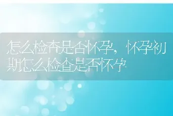 怎么检查是否怀孕，怀孕初期怎么检查是否怀孕