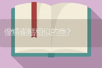 像鳄雀鳝相似的鱼？