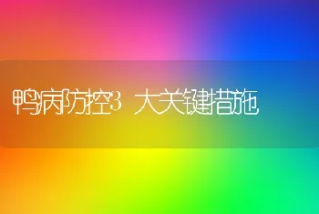 鸭病防控3大关键措施