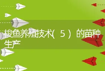 梭鱼养殖技术(5)的苗种生产