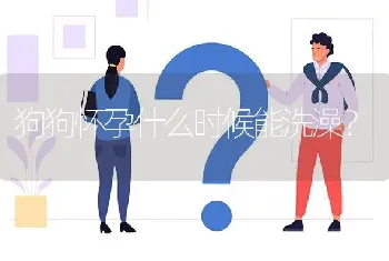 狗狗怀孕什么时候能洗澡？